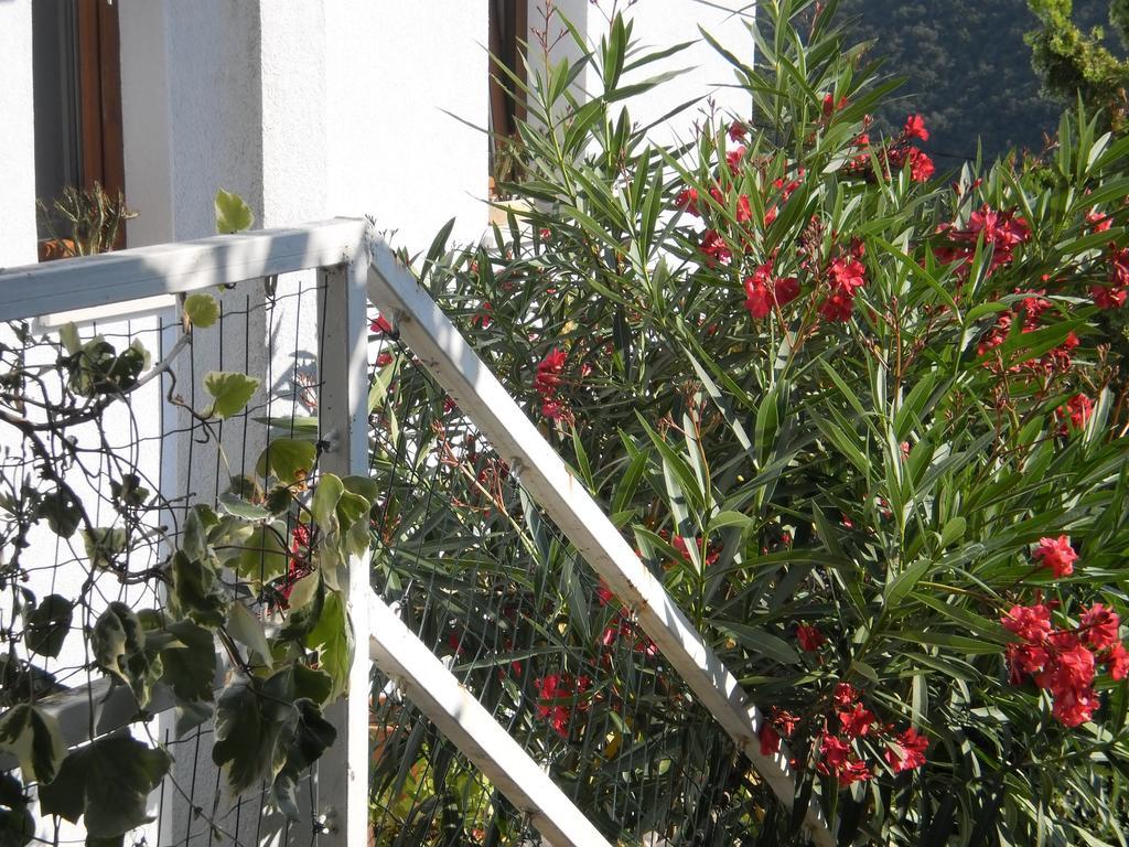 Apartment Haldej Mošćenička Draga Quarto foto